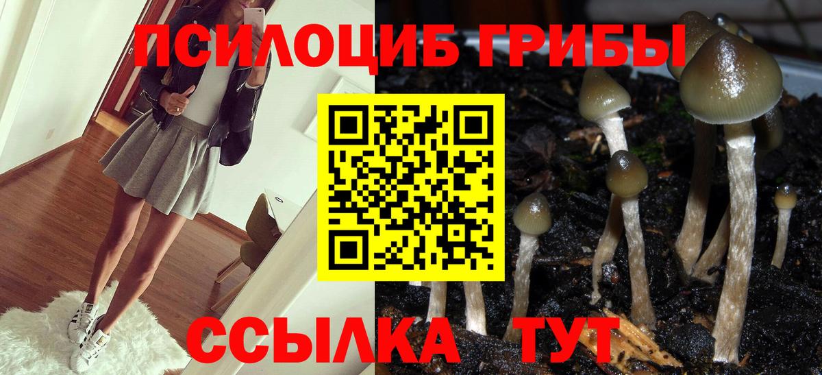 Галлюциногенные грибы Psilocybine cubensis Верхний Уфалей